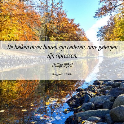 Picture 06 - Hooglied 1:17 NLD - De balken onzer huizen zijn cederen, onze - Bible Verse Picture
