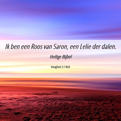 Picture 06 - Hooglied 2:1 NLD - Ik ben een Roos van Saron, een Lelie der - Bible Verse Picture