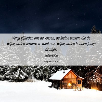 Picture 06 - Hooglied 2:15 NLD - Vangt gijlieden ons de vossen, de kleine vossen, - Bible Verse Picture