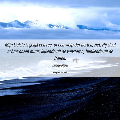 Picture 06 - Hooglied 2:9 NLD - Mijn Liefste is gelijk een ree, of een welp der - Bible Verse Picture