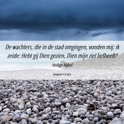 Picture 06 - Hooglied 3:3 NLD - De wachters, die in de stad omgingen, vonden mij: - Bible Verse Picture