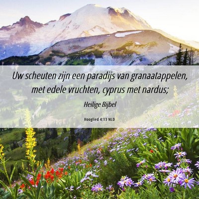 Picture 06 - Hooglied 4:13 NLD - Uw scheuten zijn een paradijs van granaatappelen, - Bible Verse Picture