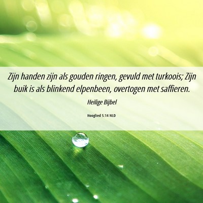 Picture 06 - Hooglied 5:14 NLD - Zijn handen zijn als gouden ringen, gevuld met - Bible Verse Picture