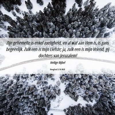 Picture 06 - Hooglied 5:16 NLD - Zijn gehemelte is enkel zoetigheid, en al wat aan - Bible Verse Picture