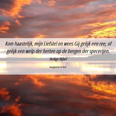 Picture 06 - Hooglied 8:14 NLD - Kom haastelijk, mijn Liefste! en wees Gij gelijk - Bible Verse Picture