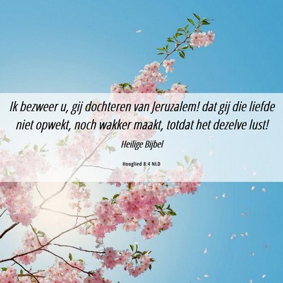 Picture 06 - Hooglied 8:4 NLD - Ik bezweer u, gij dochteren van Jeruzalem! dat - Bible Verse Picture