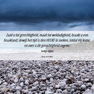 Picture 06 - Hosea 10:12 NLD - Zaait u tot gerechtigheid, maait tot - Bible Verse Picture