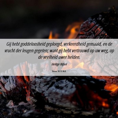 Picture 06 - Hosea 10:13 NLD - Gij hebt goddeloosheid geploegd, verkeerdheid - Bible Verse Picture