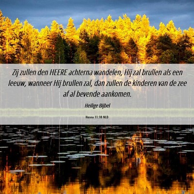 Picture 06 - Hosea 11:10 NLD - Zij zullen den HEERE achterna wandelen, Hij zal - Bible Verse Picture