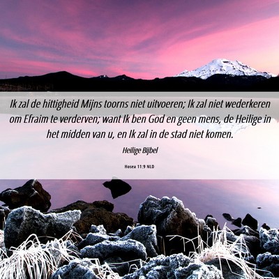 Picture 06 - Hosea 11:9 NLD - Ik zal de hittigheid Mijns toorns niet uitvoeren; - Bible Verse Picture