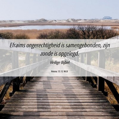 Picture 06 - Hosea 13:12 NLD - Efraims ongerechtigheid is samengebonden, zijn - Bible Verse Picture
