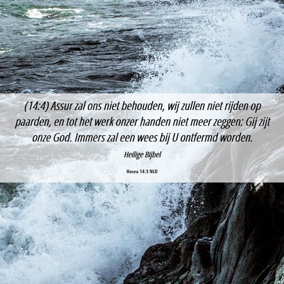 Picture 06 - Hosea 14:3 NLD - (14:4) Assur zal ons niet behouden, wij zullen - Bible Verse Picture