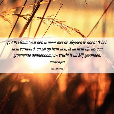 Picture 06 - Hosea 14:8 NLD - (14:9) Efraim! wat heb Ik meer met de afgoden te - Bible Verse Picture