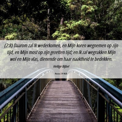 Picture 06 - Hosea 2:9 NLD - (2:8) Daarom zal Ik wederkomen, en Mijn koren - Bible Verse Picture