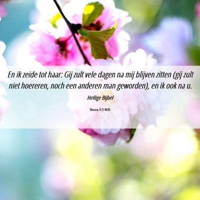 Picture 06 - Hosea 3:3 NLD - En ik zeide tot haar: Gij zult vele dagen na mij - Bible Verse Picture