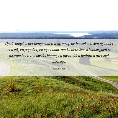 Picture 06 - Hosea 4:13 NLD - Op de hoogten der bergen offeren zij, en op de - Bible Verse Picture