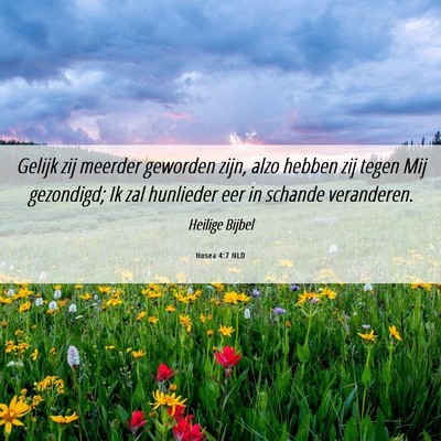 Picture 06 - Hosea 4:7 NLD - Gelijk zij meerder geworden zijn, alzo hebben zij - Bible Verse Picture