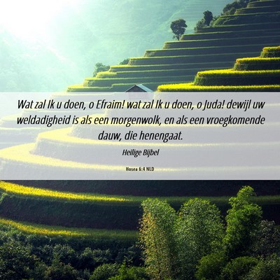 Picture 06 - Hosea 6:4 NLD - Wat zal Ik u doen, o Efraim! wat zal Ik u doen, o - Bible Verse Picture