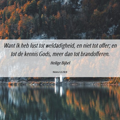 Picture 06 - Hosea 6:6 NLD - Want Ik heb lust tot weldadigheid, en niet tot - Bible Verse Picture
