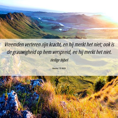 Picture 06 - Hosea 7:9 NLD - Vreemden verteren zijn kracht, en hij merkt het - Bible Verse Picture