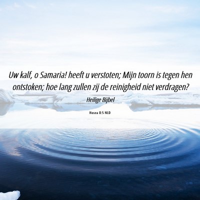 Picture 06 - Hosea 8:5 NLD - Uw kalf, o Samaria! heeft u verstoten; Mijn toorn - Bible Verse Picture