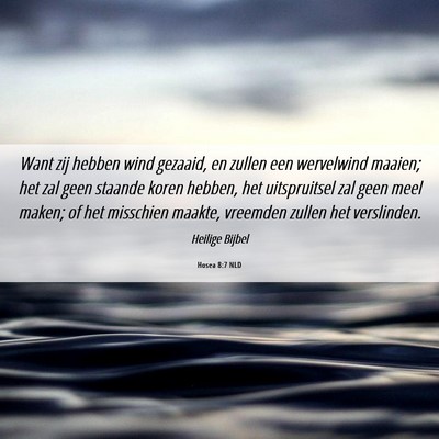 Picture 06 - Hosea 8:7 NLD - Want zij hebben wind gezaaid, en zullen een - Bible Verse Picture