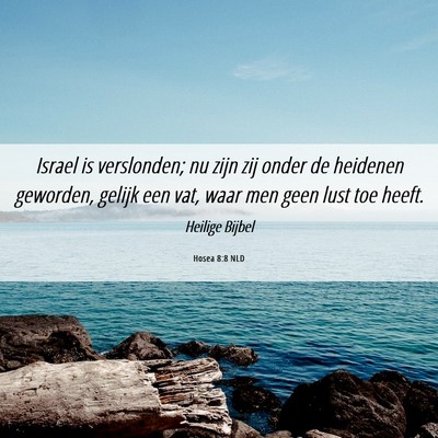 Picture 06 - Hosea 8:8 NLD - Israel is verslonden; nu zijn zij onder de - Bible Verse Picture