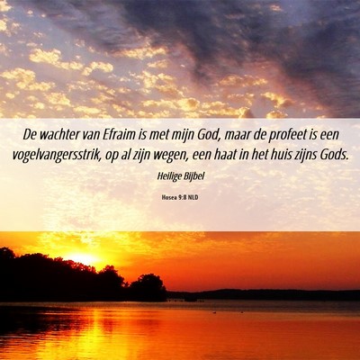 Picture 06 - Hosea 9:8 NLD - De wachter van Efraim is met mijn God, maar de - Bible Verse Picture