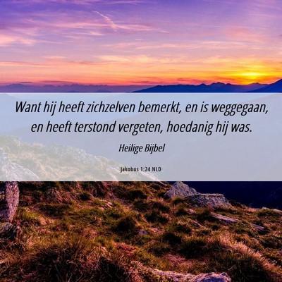 Picture 06 - Jakobus 1:24 NLD - Want hij heeft zichzelven bemerkt, en is - Bible Verse Picture