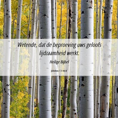 Picture 06 - Jakobus 1:3 NLD - Wetende, dat de beproeving uws geloofs - Bible Verse Picture
