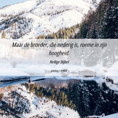 Picture 06 - Jakobus 1:9 NLD - Maar de broeder, die nederig is, roeme in zijn - Bible Verse Picture
