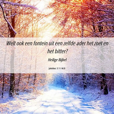 Picture 06 - Jakobus 3:11 NLD - Welt ook een fontein uit een zelfde ader het zoet - Bible Verse Picture
