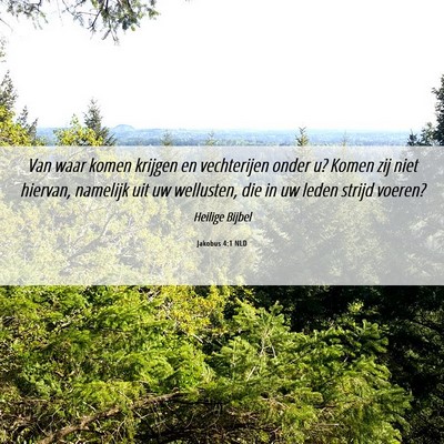 Picture 06 - Jakobus 4:1 NLD - Van waar komen krijgen en vechterijen onder u? - Bible Verse Picture