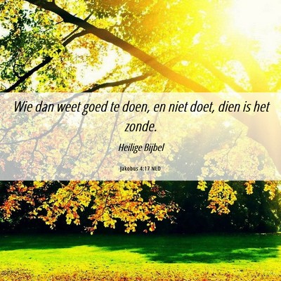 Picture 06 - Jakobus 4:17 NLD - Wie dan weet goed te doen, en niet doet, dien is - Bible Verse Picture
