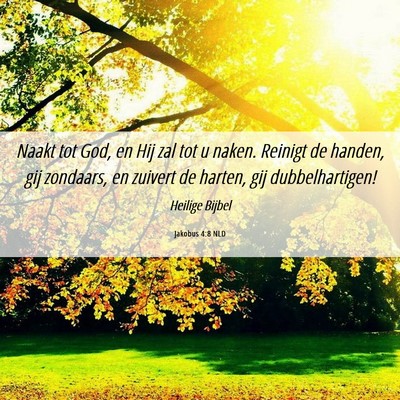 Picture 06 - Jakobus 4:8 NLD - Naakt tot God, en Hij zal tot u naken. Reinigt de - Bible Verse Picture