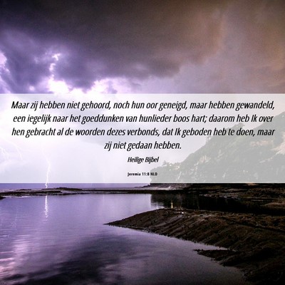 Picture 06 - Jeremia 11:8 NLD - Maar zij hebben niet gehoord, noch hun oor - Bible Verse Picture