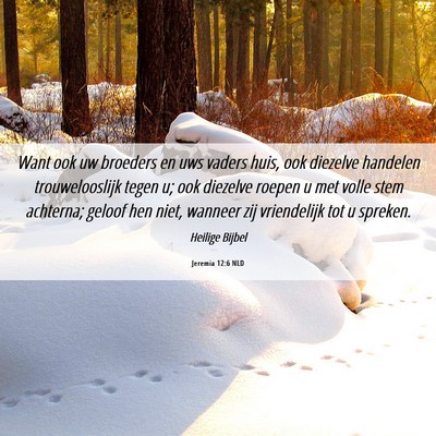 Picture 06 - Jeremia 12:6 NLD - Want ook uw broeders en uws vaders huis, ook - Bible Verse Picture