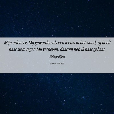 Picture 06 - Jeremia 12:8 NLD - Mijn erfenis is Mij geworden als een leeuw in het - Bible Verse Picture