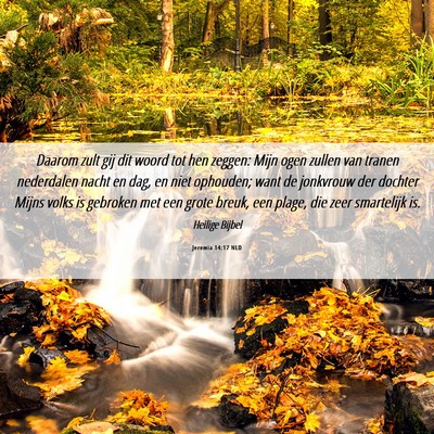 Picture 06 - Jeremia 14:17 NLD - Daarom zult gij dit woord tot hen zeggen: Mijn - Bible Verse Picture