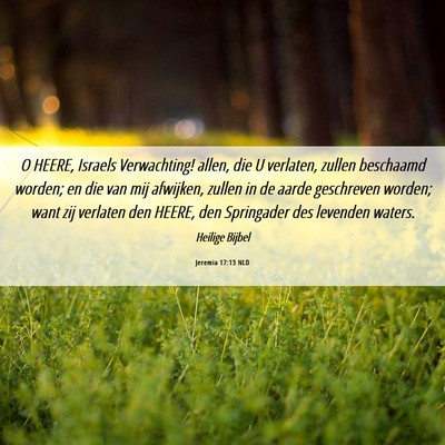 Picture 06 - Jeremia 17:13 NLD - O HEERE, Israels Verwachting! allen, die U - Bible Verse Picture