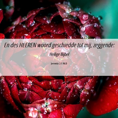 Picture 06 - Jeremia 2:1 NLD - En des HEEREN woord geschiedde tot mij, - Bible Verse Picture