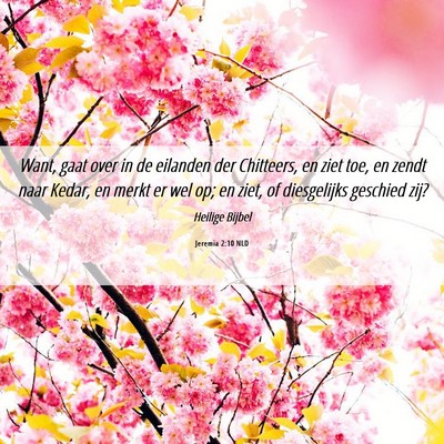 Picture 06 - Jeremia 2:10 NLD - Want, gaat over in de eilanden der Chitteers, en - Bible Verse Picture