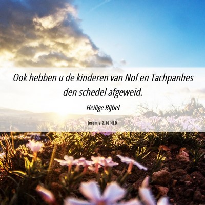 Picture 06 - Jeremia 2:16 NLD - Ook hebben u de kinderen van Nof en Tachpanhes - Bible Verse Picture