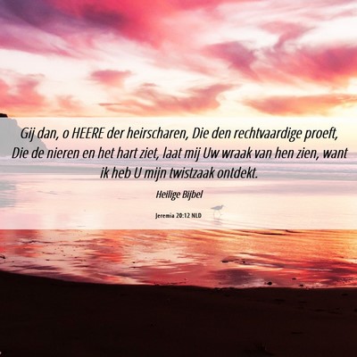 Picture 06 - Jeremia 20:12 NLD - Gij dan, o HEERE der heirscharen, Die den - Bible Verse Picture