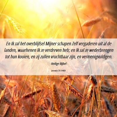 Picture 06 - Jeremia 23:3 NLD - En Ik zal het overblijfsel Mijner schapen Zelf - Bible Verse Picture