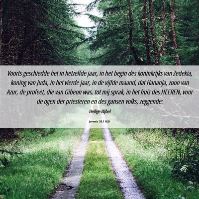 Picture 06 - Jeremia 28:1 NLD - Voorts geschiedde het in hetzelfde jaar, in het - Bible Verse Picture