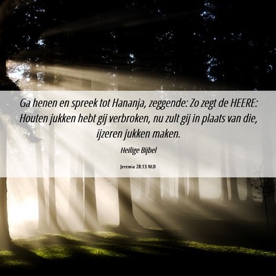 Picture 06 - Jeremia 28:13 NLD - Ga henen en spreek tot Hananja, zeggende: Zo zegt - Bible Verse Picture