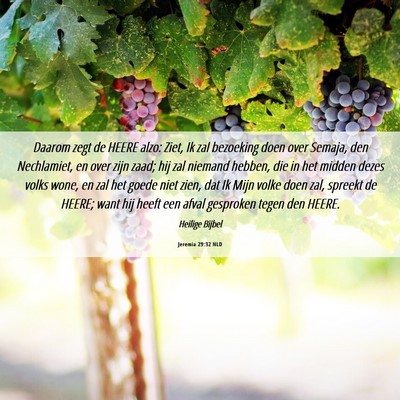 Picture 06 - Jeremia 29:32 NLD - Daarom zegt de HEERE alzo: Ziet, Ik zal bezoeking - Bible Verse Picture