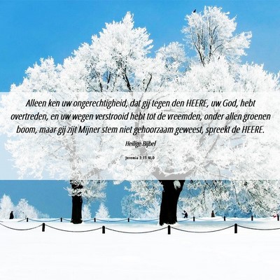 Picture 06 - Jeremia 3:13 NLD - Alleen ken uw ongerechtigheid, dat gij tegen den - Bible Verse Picture