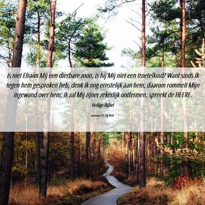 Picture 06 - Jeremia 31:20 NLD - Is niet Efraim Mij een dierbare zoon, is hij Mij - Bible Verse Picture